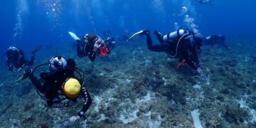 領運動幣潛水去！ 海委會加碼，攜手友善潛店守護蔚藍海洋
