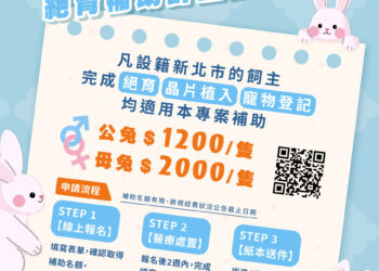 兔友福利來了!新北 115 年「寵物兔絕育補助」開跑 母兔最高可領 2,000 元