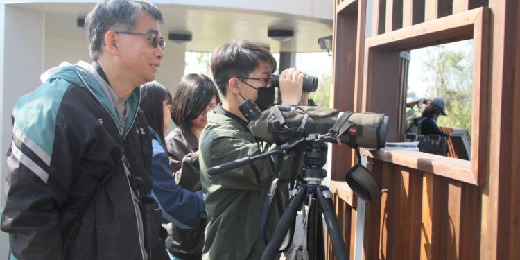千羽齊聚嘉義布袋濕地　候鳥季展現國家級生態風采
