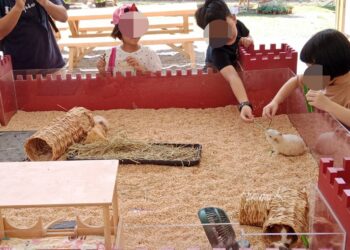 關聖帝君精神化為行動 雲天宮攜手弱勢兒走進自然療癒之旅