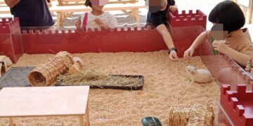 關聖帝君精神化為行動　雲天宮攜手弱勢兒走進自然療癒之旅