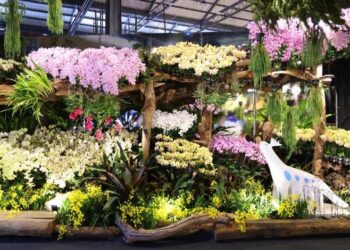 國際蘭展綻放館4亮點必逛　超夯蘭獸、蘭花密道、莫內噴蘭、鋼鐵蘭心