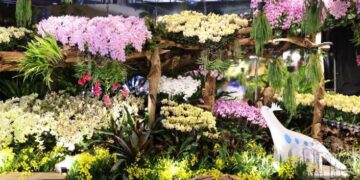 國際蘭展綻放館4亮點必逛　超夯蘭獸、蘭花密道、莫內噴蘭、鋼鐵蘭心