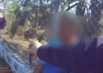 酒測1.24太狂!副所長化身「人力代駕」幫醉漢牽車回家