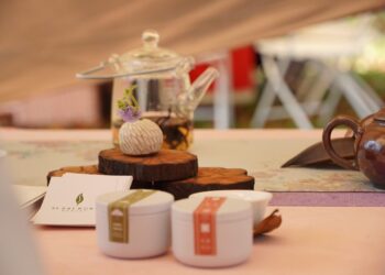 茂管處邀民眾走進山林 體驗原生山茶文化之美