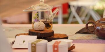 茂管處邀民眾走進山林 體驗原生山茶文化之美