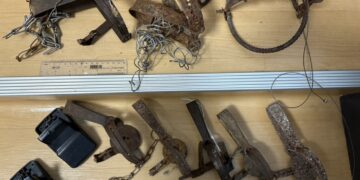 守護毛寶貝!新北動保處祭獎金 繳交獸鋏或山豬吊每件最高獎勵 150 元