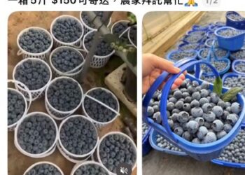 婦人收到司法文書心慌慌　熱心內埔警迅速查明真相暨內埔警訊