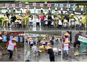 影音/食農教育．愛稻永遠 羅東幼兒園親師生插秧趕鴨趣