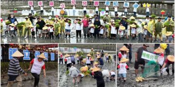 影音/食農教育．愛稻永遠 羅東幼兒園親師生插秧趕鴨趣