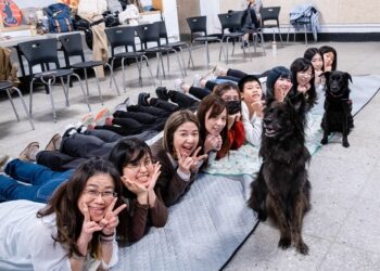 心輔犬人才培育計畫熱銷中，邀您一起讓動物輔助教育遍地開花