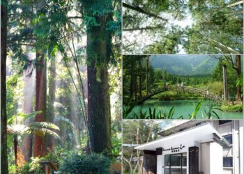 溪頭旅遊熱度升溫　主打高CP值一泊二食專案　Success Banner溪頭飯店限時熱賣中