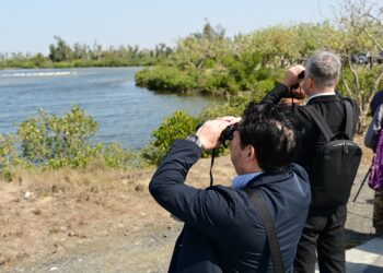 跨越東亞的飛行友誼!2026台灣燈會台日交流  雲嘉南攜手出水市共推生態旅遊