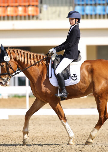 影音/馬術小將高襄喬克服萬難挑戰全中運 與馬共舞榮獲亞軍