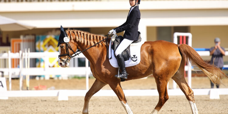 影音/馬術小將高襄喬克服萬難挑戰全中運 與馬共舞榮獲亞軍