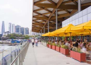 市場也能是觀光地標！侯友宜訪雪梨魚市     強調整潔明亮與文化特色的結合