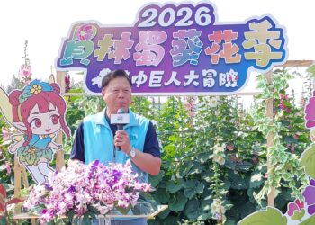影音/2026員林蜀葵花季 近萬株的蜀葵花超過30種花色一次綻放