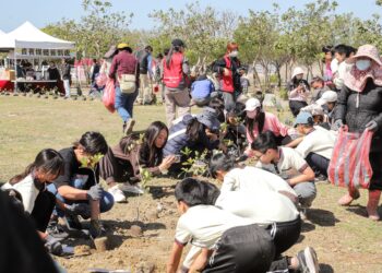 布袋高跟鞋教堂植樹節添綠意　500株喬灌木扎根打造濱海新景觀
