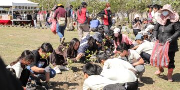 布袋高跟鞋教堂植樹節添綠意　500株喬灌木扎根打造濱海新景觀