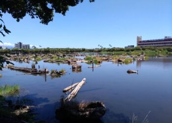 打造原生魚類安居家園  林業保育宜蘭分署邀民眾一齊來釣魚