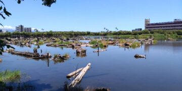 打造原生魚類安居家園  林業保育宜蘭分署邀民眾一齊來釣魚