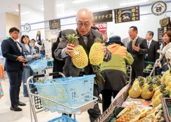 嘉義優鮮蜜甘味鳳梨日本開賣　通路行銷拓展至文化體育交流