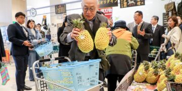 嘉義優鮮蜜甘味鳳梨日本開賣　通路行銷拓展至文化體育交流