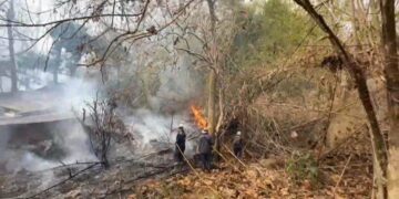 美濃區美興街第四公墓雜草火警搶救中