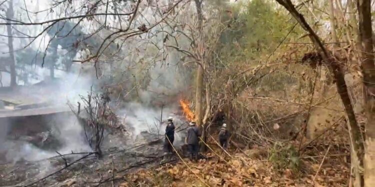 美濃區美興街第四公墓雜草火警搶救中