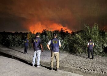 九如堤防火警疑人為縱火狩獵 里港警速查獲3嫌送辦