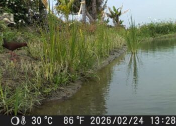 農村水保署台中分署首件ESG合作　引領企業走進農田  日盛台駿「鳶飛魚躍計畫」啟動