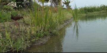 農村水保署台中分署首件ESG合作　引領企業走進農田  日盛台駿「鳶飛魚躍計畫」啟動