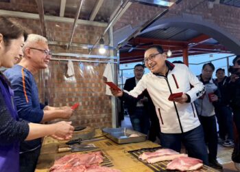 北海岸新亮點！金山中繼市場正式營運     明亮整潔、動線優化翻轉傳統印象