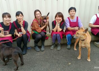 愛心不打烊！新北 8 處動物之家青年志工出擊     3/28 實踐生命教育與社會責任