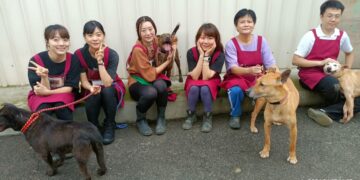 愛心不打烊！新北 8 處動物之家青年志工出擊     3/28 實踐生命教育與社會責任