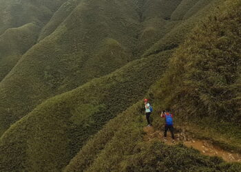 影音/實踐ESG精神 公私協力守護聖母登山步道