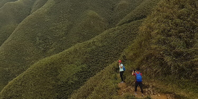 影音/實踐ESG精神 公私協力守護聖母登山步道