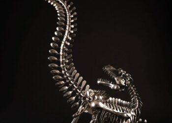 台灣廚師藝術家黃銘波餐廚再生藝向世界   黎明技術學院展至5/25