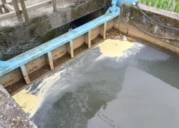 影音/壯圍鄉圳溝遭偷排放 農民憂灌溉水遭汙染