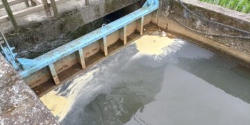 影音/壯圍鄉圳溝遭偷排放 農民憂灌溉水遭汙染