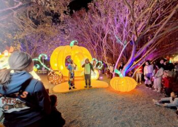 2026中台灣燈會圓滿閉幕！創紀錄吸655萬人潮　 夢幻「童趣歡樂谷」為親子留下珍貴回憶