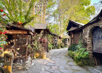 春夜螢光點點 樂野部落兩天一夜療癒慢旅