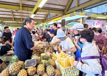 屏東鳳梨香甜北飄！希望廣場熱鬧開賣