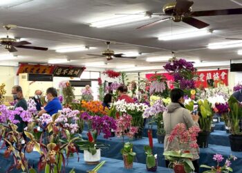 屏東地政攜手九如鄉農會　共賞蘭花幽香與土地記憶