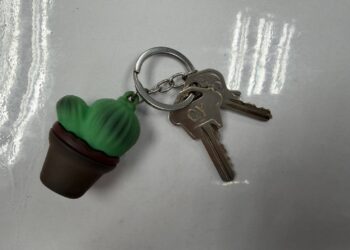 選舉看板遭毀損挑戰公權力?前鎮警火速追人 深夜查緝到案依法送辦!