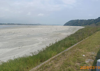 揚塵來了別怕!做好關、戴、洗【防範三部曲】守護呼吸健康