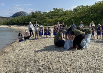 海岸特派員出動　海龜野放Go Go GO!