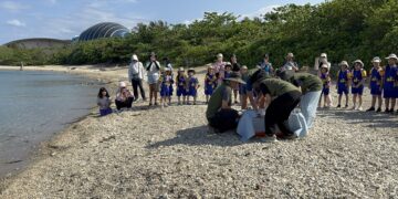 海岸特派員出動　海龜野放Go Go GO!