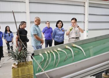 雲林縣推動鳳梨資材全循環　展現高值化產業循環經濟效益