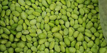 農糧署南區分署冷凍蔬菜  輕鬆上桌